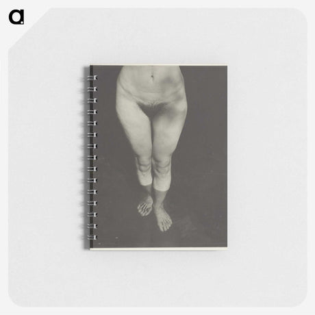 1-90_Alfred-Stieglitz_memo