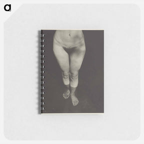 アートメモ帳-Rebecca Salsbury Strand - アルフレッド スティーグリッツ Memo.