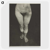 1-90_Alfred-Stieglitz_picture-crop