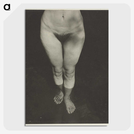1-90_Alfred-Stieglitz_picture-crop