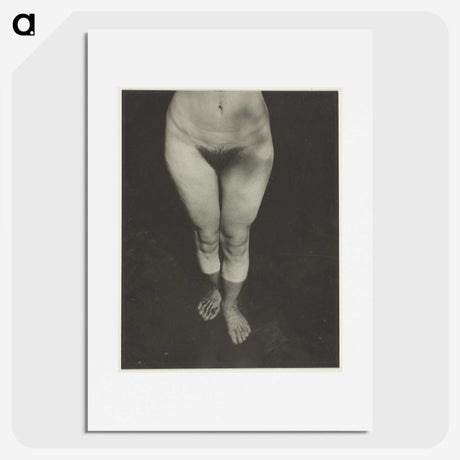 1-90_Alfred-Stieglitz_picture
