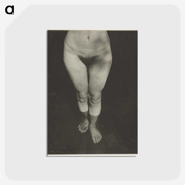 1-90_Alfred-Stieglitz_postcard