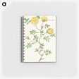 1-90_Anselmus-Boetius-de-Boodt_memo