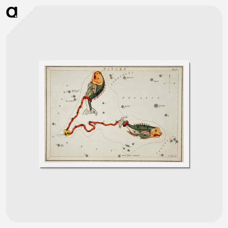 アートポストカード-Sidney Hall’s astronomical chart illustration of the Pisces - アンティーク地図 Postcard.