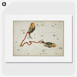 1-90_Antique-Maps_picture