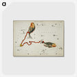 1-90_Antique-Maps_postcard