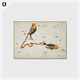 アートポストカード-Sidney Hall’s astronomical chart illustration of the Pisces - アンティーク地図 Postcard.