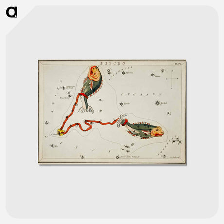 アートポストカード-Sidney Hall’s astronomical chart illustration of the Pisces - アンティーク地図 Postcard.