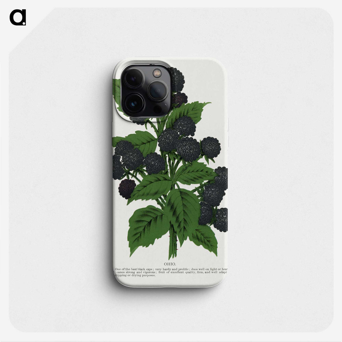 1-90_Botanical-Specimen-Plates_phone
