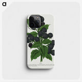 1-90_Botanical-Specimen-Plates_phone