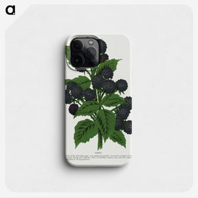 1-90_Botanical-Specimen-Plates_phone