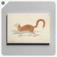 1-90_Charles-Hamilton-Smith_canvas