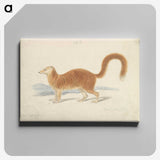 1-90_Charles-Hamilton-Smith_canvas