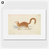 1-90_Charles-Hamilton-Smith_picture