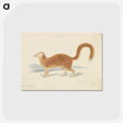 1-90_Charles-Hamilton-Smith_postcard