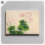 アートパネル-Mallow Flowers
 - クリーブランド美術館 Canvas.