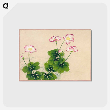 アートポストカード-Mallow Flowers
 - クリーブランド美術館 Postcard.