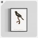 1-90_Des-Oiseaux-de-Paradis_blk-crop