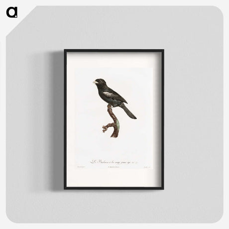 1-90_Des-Oiseaux-de-Paradis_blk