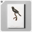 1-90_Des-Oiseaux-de-Paradis_canvas