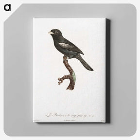 1-90_Des-Oiseaux-de-Paradis_canvas