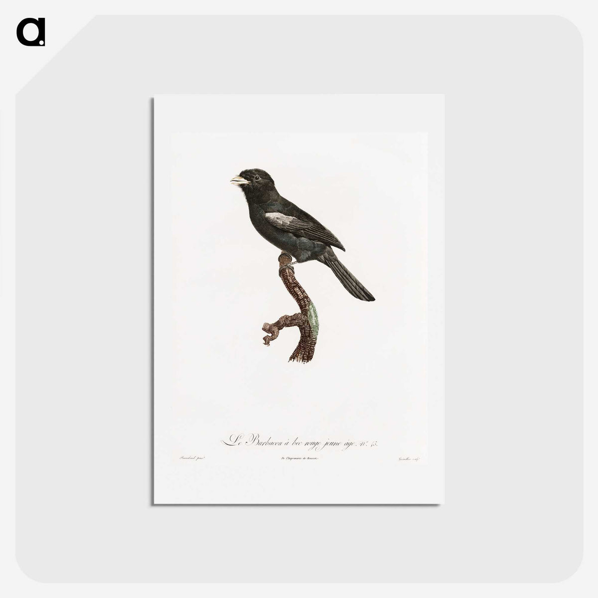 1-90_Des-Oiseaux-de-Paradis_hagaki