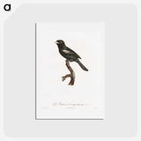 1-90_Des-Oiseaux-de-Paradis_hagaki