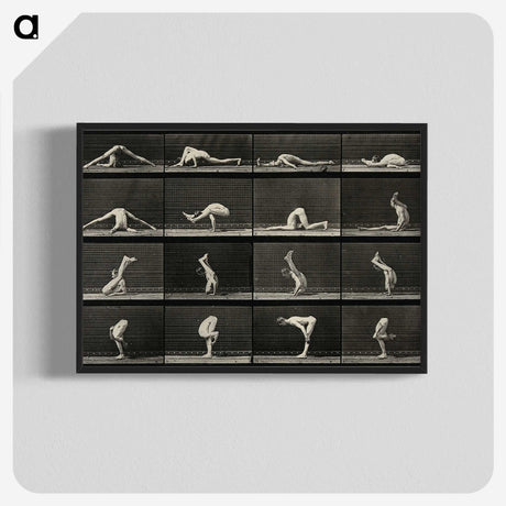 1-90_Eadweard-Muybridge_blk-crop