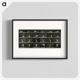1-90_Eadweard-Muybridge_blk