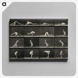 1-90_Eadweard-Muybridge_canvas