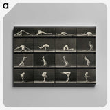 1-90_Eadweard-Muybridge_canvas