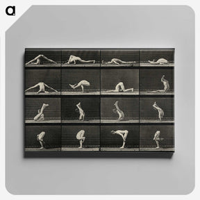 1-90_Eadweard-Muybridge_canvas