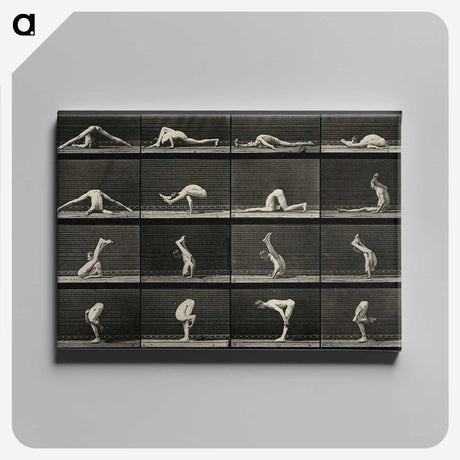 1-90_Eadweard-Muybridge_canvas