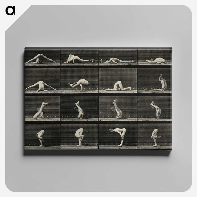 1-90_Eadweard-Muybridge_canvas