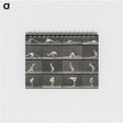 1-90_Eadweard-Muybridge_memo