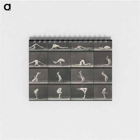 1-90_Eadweard-Muybridge_memo