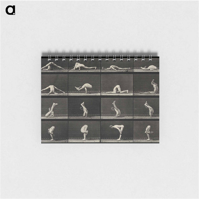 アートメモ帳-Acrobatic Contortions
 - エドワード マイブリッジ Memo.