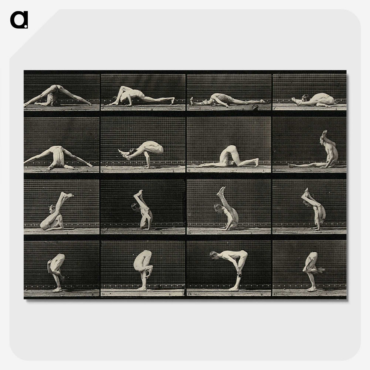 1-90_Eadweard-Muybridge_picture-crop