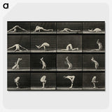 1-90_Eadweard-Muybridge_picture-crop