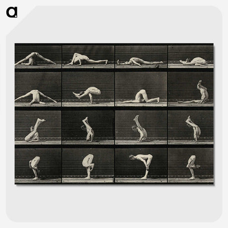 1-90_Eadweard-Muybridge_picture-crop