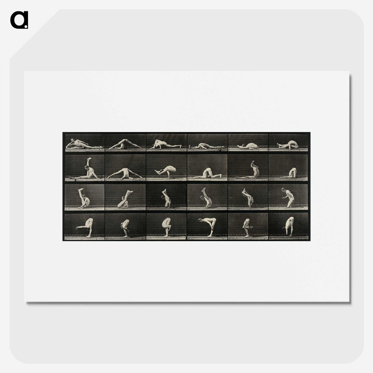 1-90_Eadweard-Muybridge_picture