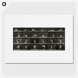 1-90_Eadweard-Muybridge_picture