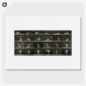 1-90_Eadweard-Muybridge_picture