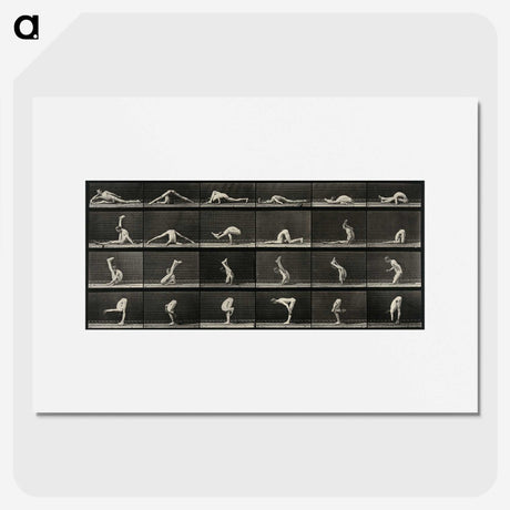 1-90_Eadweard-Muybridge_picture