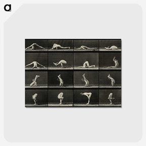 1-90_Eadweard-Muybridge_postcard