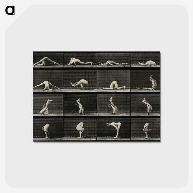 1-90_Eadweard-Muybridge_postcard