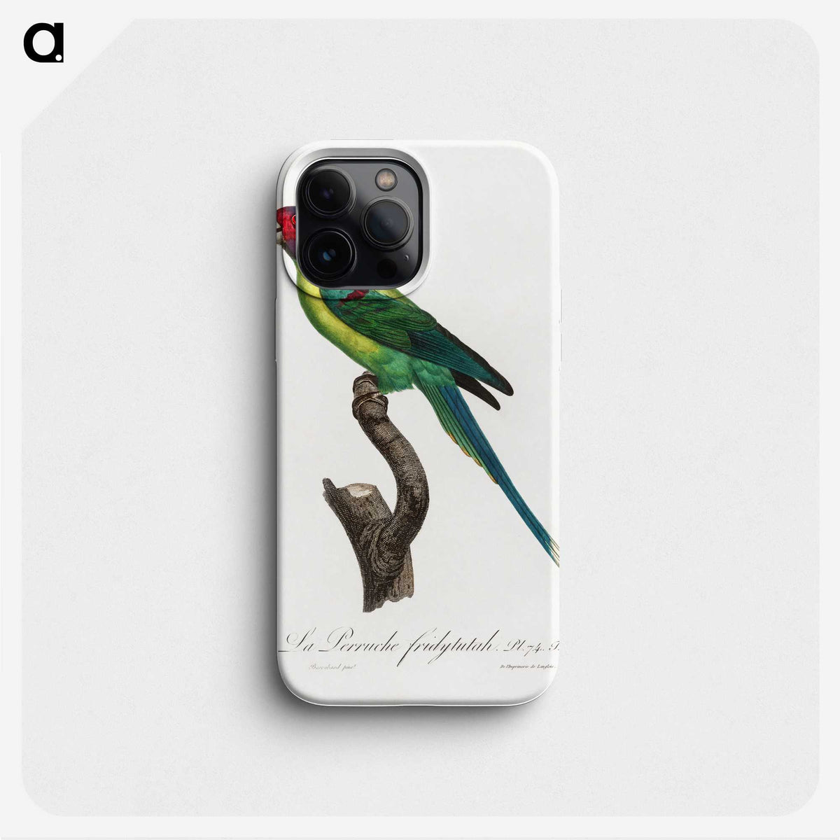 1-90_Francois-Levaillant_phone