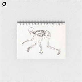 アートメモ帳-Human Skeleton, Lateral View
 - ジョージ スタッブス Memo.
