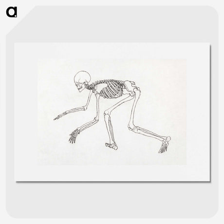 1-90_George-Stubbs_picture