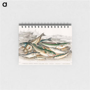 アートメモ帳-Common Fish
 - ゴールドスミスの生き生きとした自然 Memo.